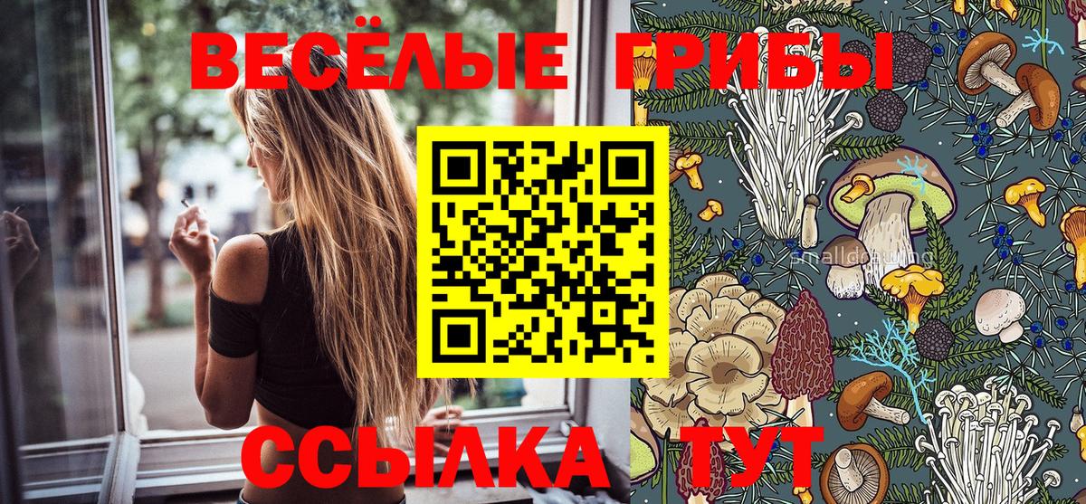Ульяновск  Псилоцибиновые грибы MAGIC MUSHROOMS  Вход с VPN 