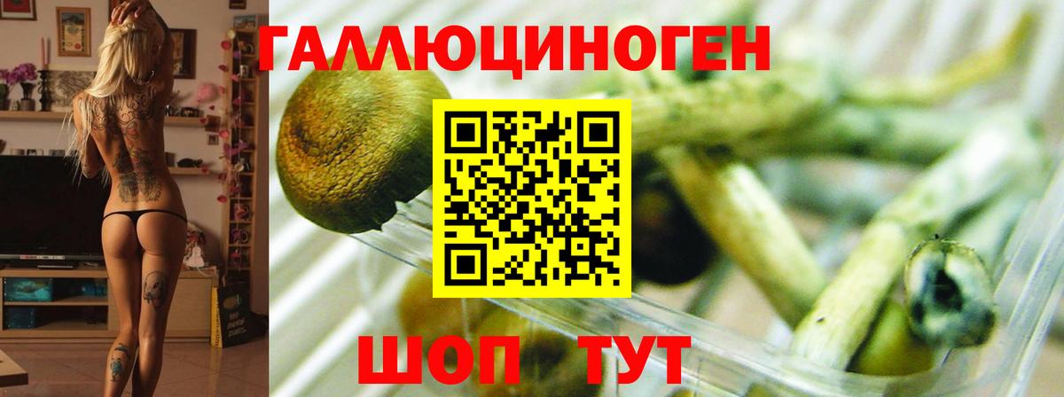 Псилоцибиновые грибы GOLDEN TEACHER Ульяновск